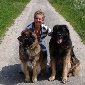 Hondenfoto van elianne 