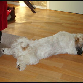 Relaxen