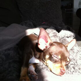helemaal in de relax!