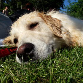 Een dagje naar de Gavers! (27/05/2012) (10)