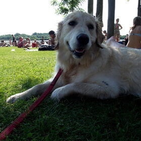 Een dagje naar de Gavers! (27/05/2012) (11)