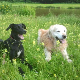 samen