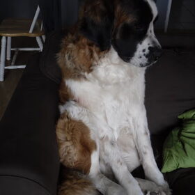 Larah kan zielig doen als ze moe is :p