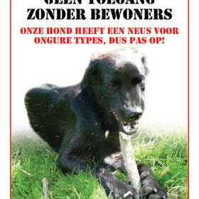 Hondenfoto van Eef en Tjibbe