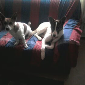 jazz en sady