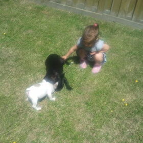 Hondenfoto van Butch&Bella