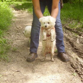 Hondenfoto van  Marleen & Bo & Snufke+