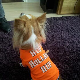 Jay is voor Holland!!