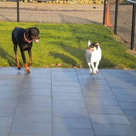 Met Jayda spelen