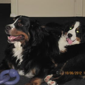Kay en Diesel