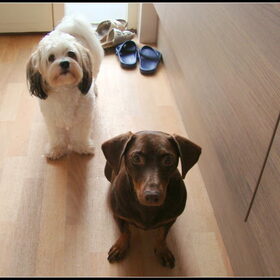 Sammy en Camila