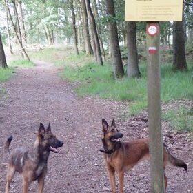 Boxtel de "Kampina" route met zijn vele prachtige vennen.