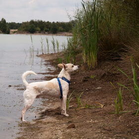 Micky aan het genieten