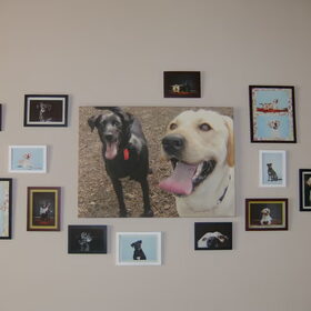 Hondenfoto van sofie, Lucky en Zita <3