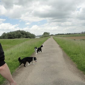 Samen met Jessie