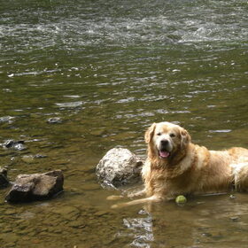 Zwemmen in de Ardennen
