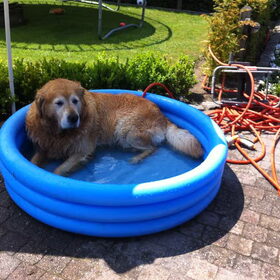 Warm? : tijd om te zwemmen!
