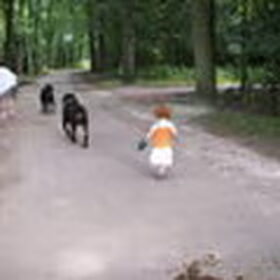 Onze jongste dochter toen 2 jaar met de rothweilers van onze…
