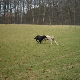 Buffy met haar moeder, toen ze 11 maanden oud was