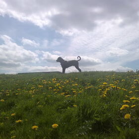 Sky 5 maanden