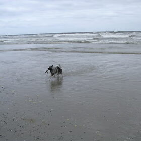 In actie op Vlieland
