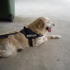 onze bodyguard, Tibo van Marie-Rose (en Larah haar lief ^^) @…