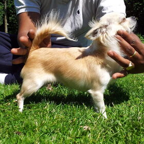 even gek aan het doen met lady iris