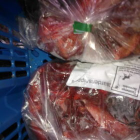 paardesnippers 1 kilo van tammenga