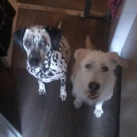 Met haar grote vriendin Diva