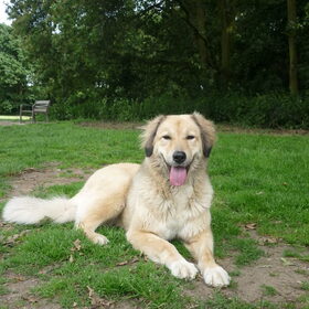 Hondenfoto van Julie & Yucca <3