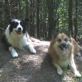 Samen met Jente even poseren..