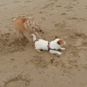 Woessh! (Weekendje Zeeland)