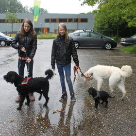 Tessa, ik, Buddy, Yamin en Marley... Via Hp ontmoet :)