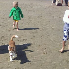 mijne kleine shadow met de kids van renate&andre van linden