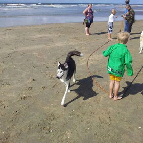 my meisje laika lekker aan het rennen en spelen