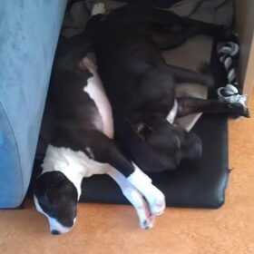 Lekker samen slapen