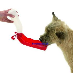 Honden overig (6)