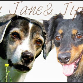 Bewerking door Hannah & Bulletje Bink