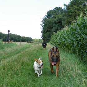 Samen even kletsen