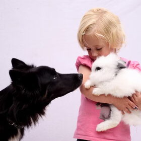 Hondenfoto van Rianne - Blue & Mylo