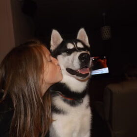 Hondenfoto van Nieke <3 Lancer
