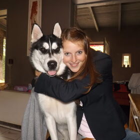 Mn Knuffelbeer