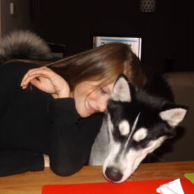 Hondenfoto van Nieke <3 Lancer