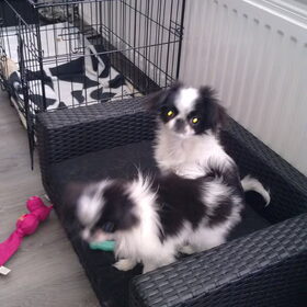 Broer en zus saampjes!