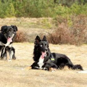 v.l.n.r.: Mara, Tobi (broer van mara), Blue van Rianne…
