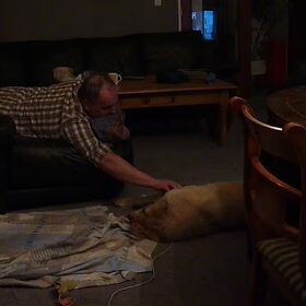Papa met Yucca