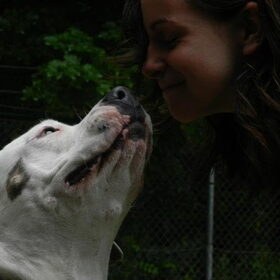 Hondenfoto van Melissa, Dempsey, Taiko, Minos & *Nina*
