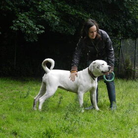 Hondenfoto van Melissa, Dempsey, Taiko, Minos & *Nina*