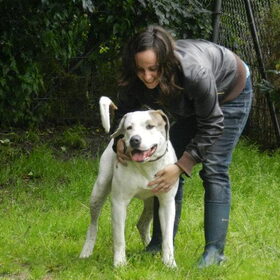 Hondenfoto van Melissa, Dempsey, Taiko, Minos & *Nina*