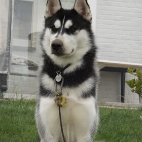 Lancer... 9,5 maand